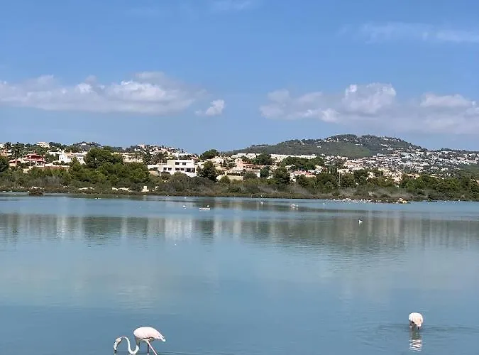 Apartment Lagoon -65m2 - First Line - 200 M To - Calpe
