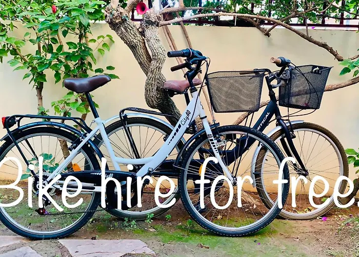 Lagoon -65m2 - First Line - 200 M To - Lejlighed